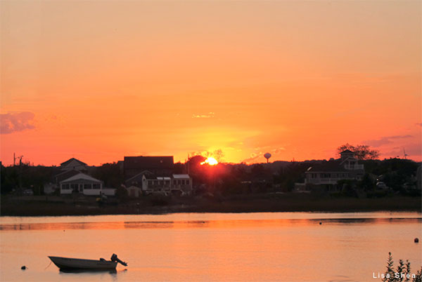 Plum Island Sunset by Lisa Shea