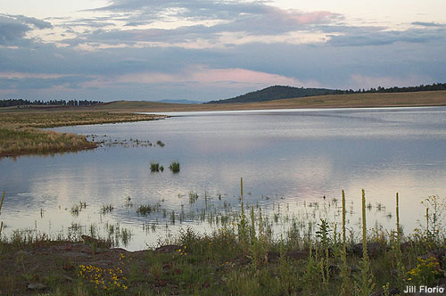 Sunrise Lake at Sunrise, White Mts, AZ by Jill Florio